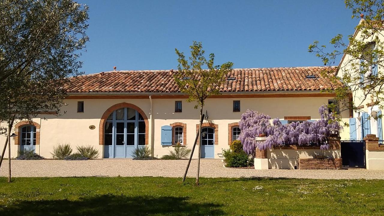 Le Clos Du Cedre Launac Εξωτερικό φωτογραφία