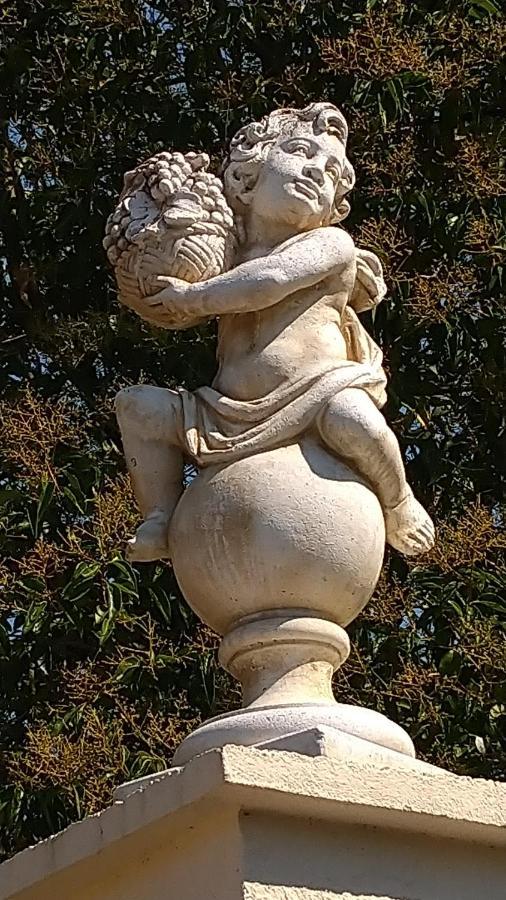 Le Clos Du Cedre Launac Εξωτερικό φωτογραφία