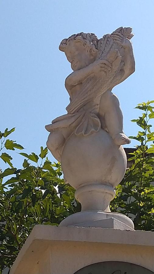 Le Clos Du Cedre Launac Εξωτερικό φωτογραφία