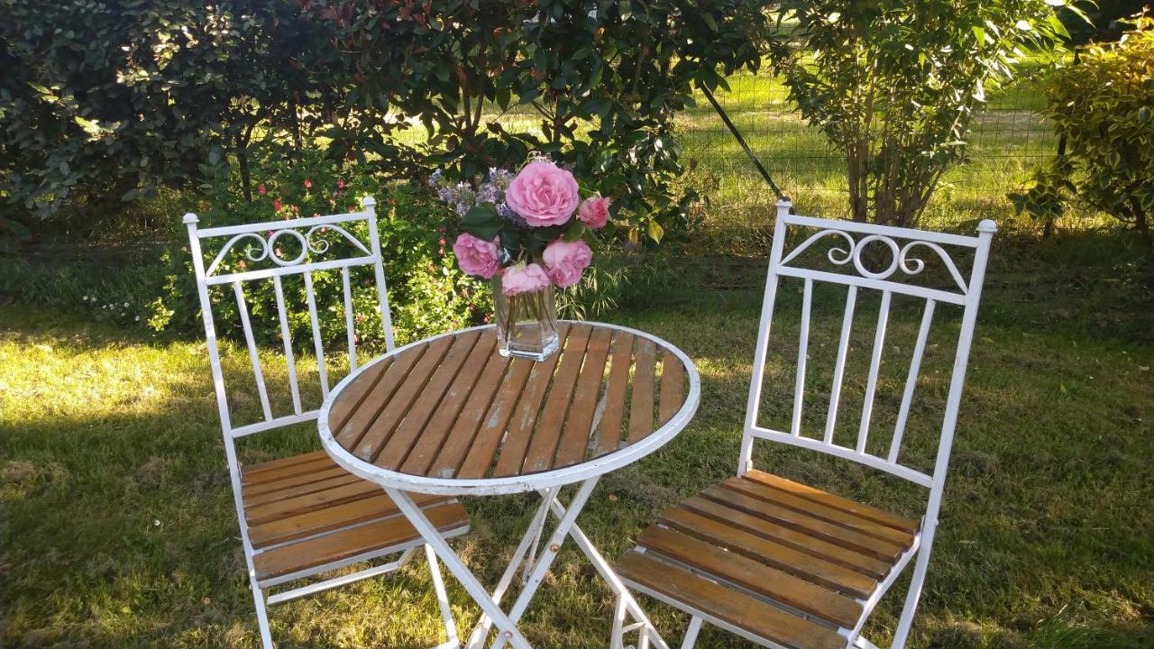 Le Clos Du Cedre Launac Εξωτερικό φωτογραφία